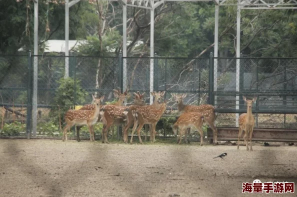 王者荣耀自然之灵新皮肤获取攻略 ｜ 获取方法详解