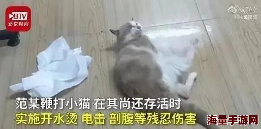 猫咪和汤前期快速赚钱攻略分享：高效致富技巧详解